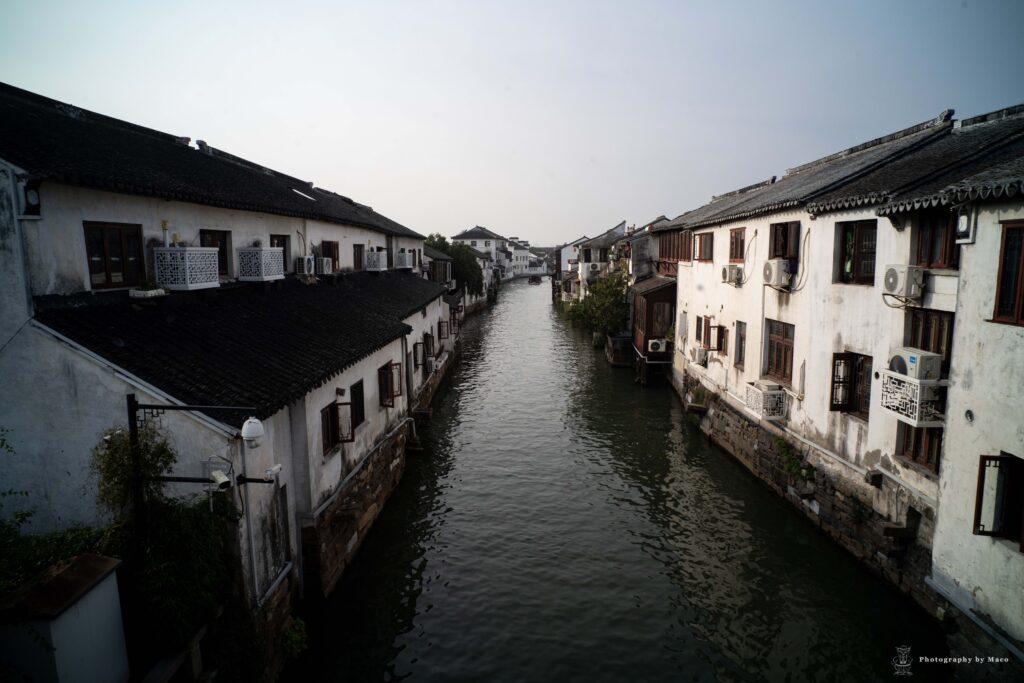 文化・芸術批評